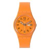 SWATCH Mod. TRENDY LINES IN SIENNA OROLOGIO DA POLSO