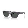 OCCHIALE DA SOLE EMPORIO ARMANI MOD. EA 4233U